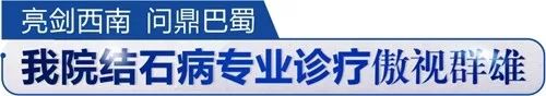 喜折双桂冠！四川结石病医院两项学科大奖尽揽麾下！(图5)