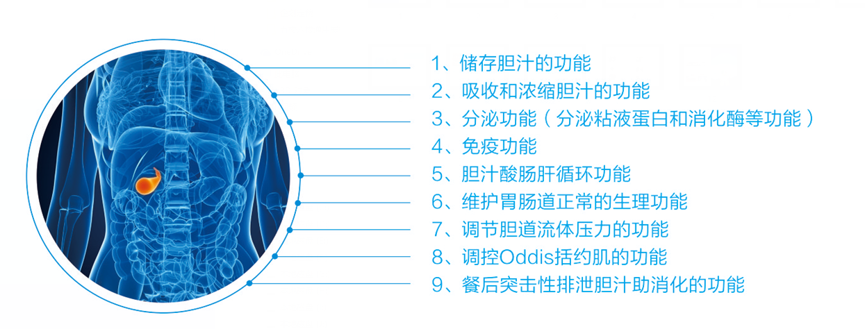 【9.1胆囊健康日社区行】您的胆囊健康，我们来守护！(图6)